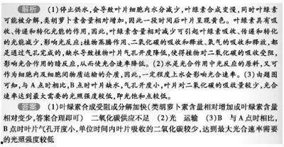 蚂蚁森林知事头条号,绿色行动背后的科技力量与生态奇迹”