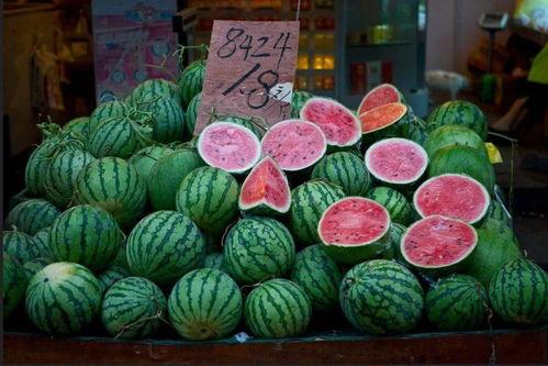 吃瓜群众上海,吃瓜群众的美食盛宴与都市生活剪影