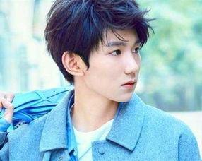 属龙明星明星,属龙明星闪耀娱乐圈