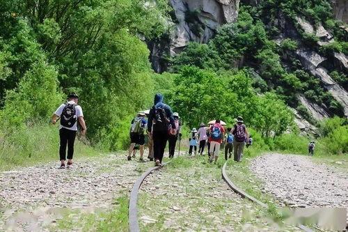 龙门峡谷网红拍照事件,揭秘网络热点的背后真相