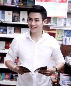 越南明星黎江,越南影视界的璀璨明星