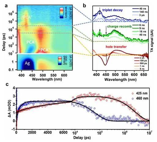 看缅料的吸收光谱,揭示其独特光学特性