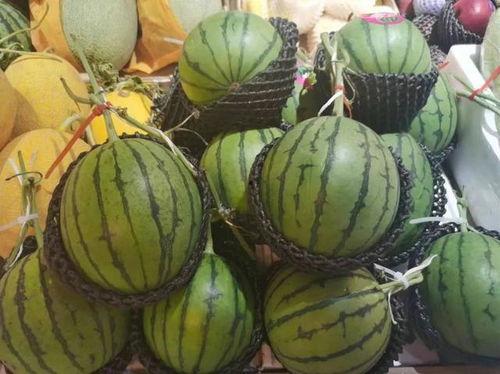 吃瓜小歪,揭秘娱乐圈那些不为人知的幕后故事