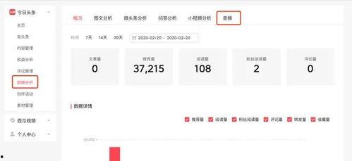 头条有没有音频通道权限,音频通道权限如何助力内容创新？