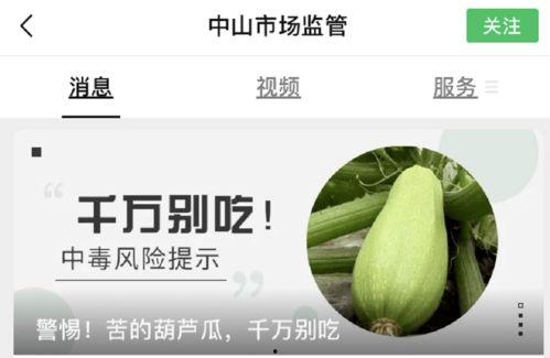 吃鸽子可以吃葫芦瓜么嘛,探究两者是否可同食的奥秘