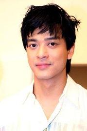 陈晓东的明星,星光熠熠的影视歌三栖明星之路