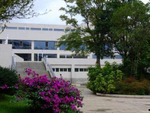 云南西南林大学吃瓜