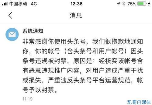 头条号被封可以申请多久,头条号被封后多久可申请恢复？