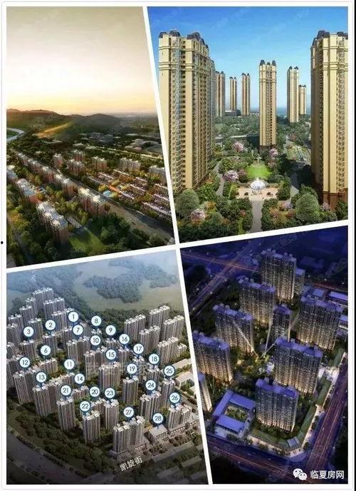 临夏头条网,聚焦临夏本土新闻，传递最新资讯动态