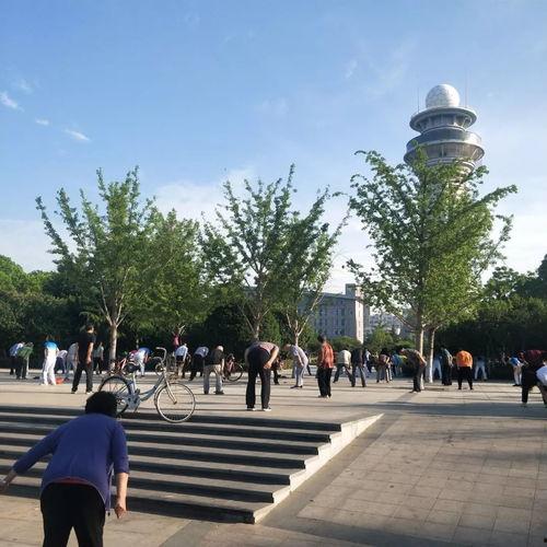 石家庄公园爆料视频最新,揭秘公园里的惊人秘密！