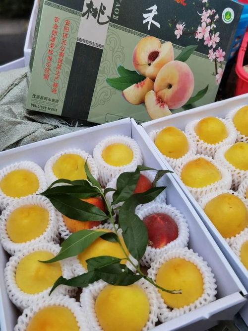 姜同学娱乐小号吃瓜,揭秘娱乐圈那些不为人知的“吃瓜”瞬间